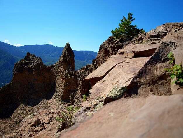 Seasonal Considerations for Rock Crawling in the South