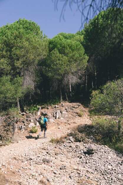 Best Trails for Beginners in Southern USA